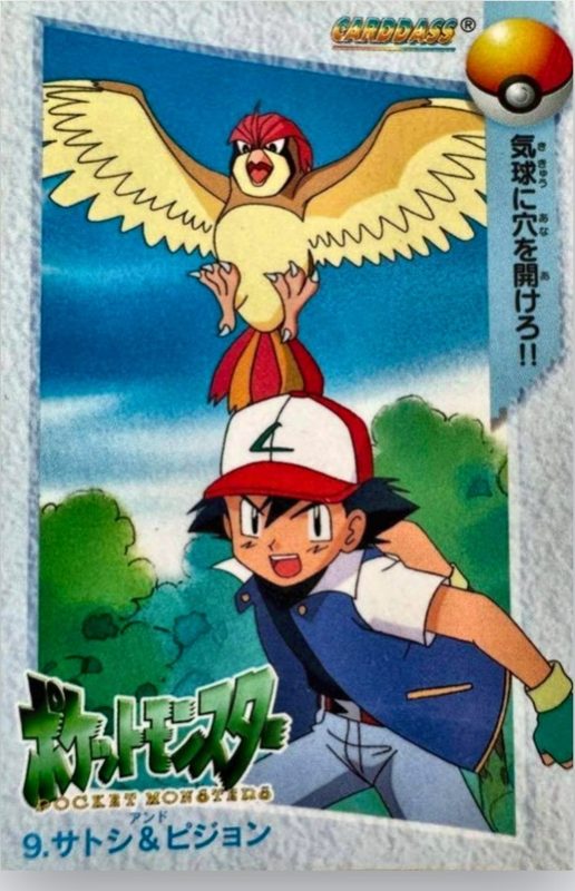 9 サトシ&ピジョン