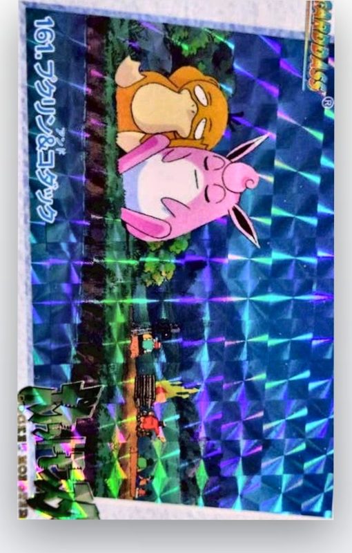 161 プクリン&コダック