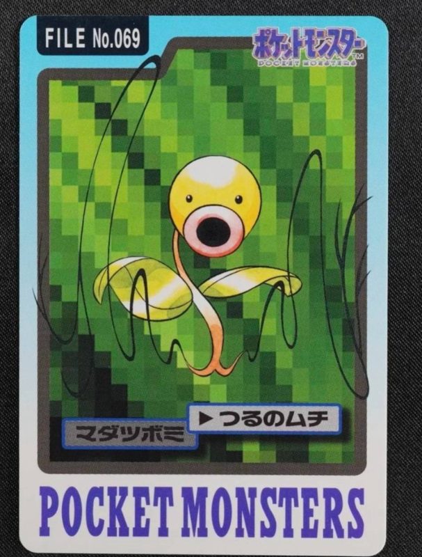 069 マダツボミ